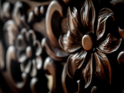 Close up of a wooden texture with fine details.